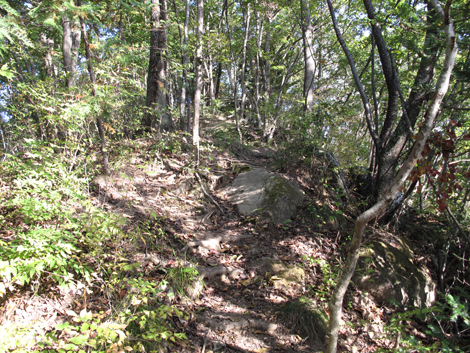 20161104hike (278)